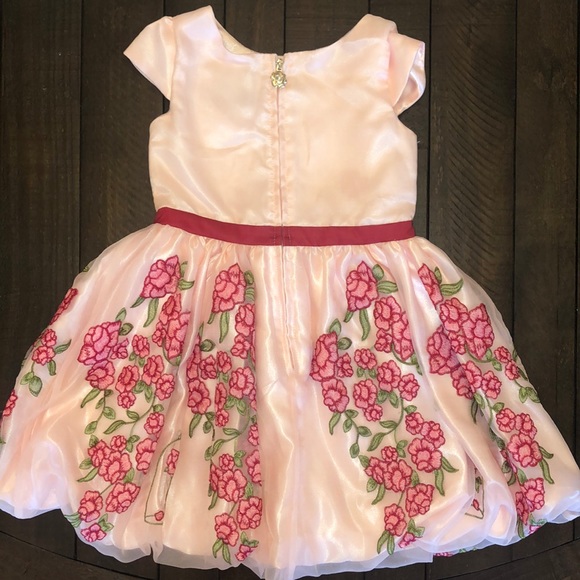 Beautiful Dress - Picture 5 of 10